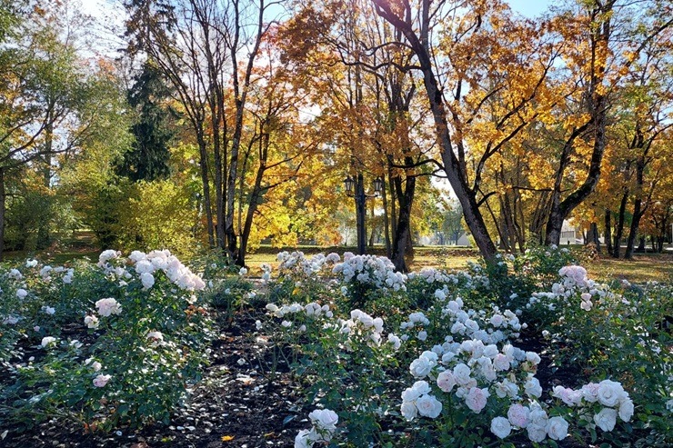 Zelta rudens priecē Alūksnes iedzīvotājus un viesus 379148
