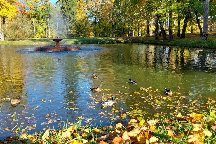 Zelta rudens priecē Alūksnes iedzīvotājus un viesus 379142
