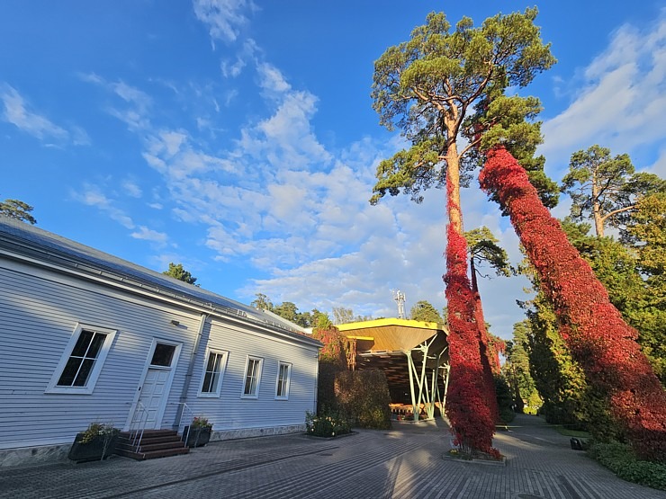 Leģendārās Dzintaru koncertzāles apskate ar iespēju ielūkoties mākslinieku grimētavās. Sadarbībā ar VisitJurmala.lv 379343