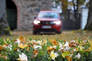 Sadarbībā ar auto nomu «SIXT Latvija» (Opel Frontera 27 eiro dienā) apceļojam Mālpils muižu 29