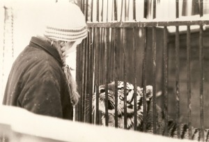 Rīgas ZOO 113! Ieskats vēsturiskās bildēs 3