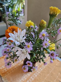 Iepazīstam klasicisma stila Jaunauces pili Saldus novadā 53