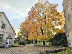 Pēcpusdienas pastaigā iepazīstam UNESCO Pasaules mantojuma sarakstā iekļauto Kuldīgu 23