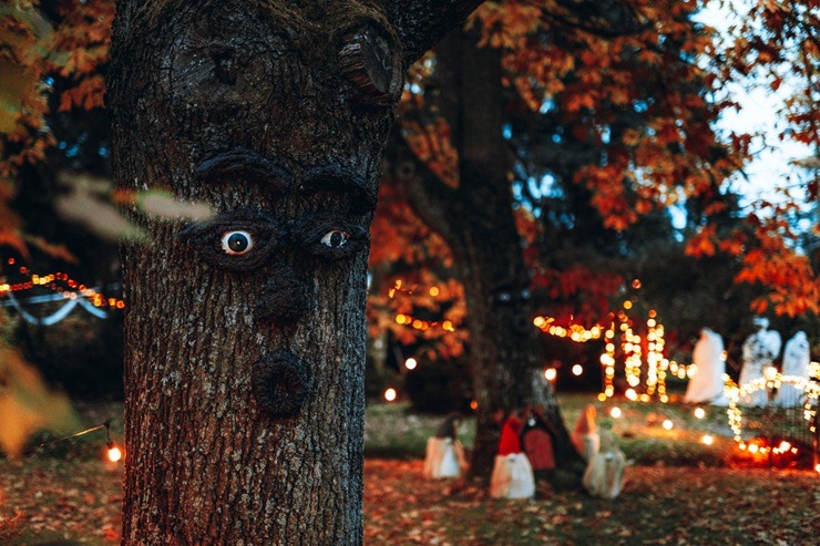 Spoku nakts takas ģimenēm 2025 – Ģimenēm draudzīgākais rudens āra festivāls Salaspilī  Spoku nakts takas ģimenēm 2025 – Ģimenēm draudzīgākais rudens āra festivāls Salaspilī 380769