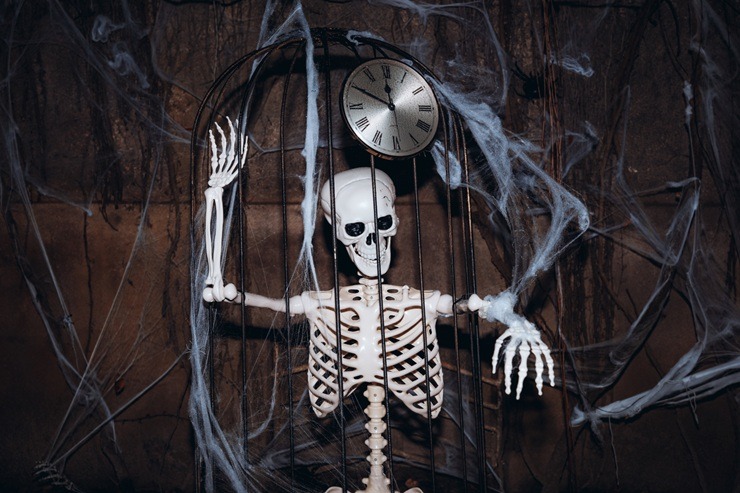 Spoku nakts takas ģimenēm 2025 – Ģimenēm draudzīgākais rudens āra festivāls Salaspilī  Spoku nakts takas ģimenēm 2025 – Ģimenēm draudzīgākais rudens āra festivāls Salaspilī 380772