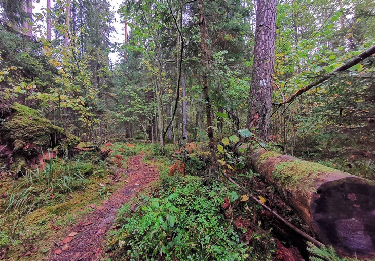 Vietas ar senvēsturi un mistiku Tukuma apkārtnē 380801