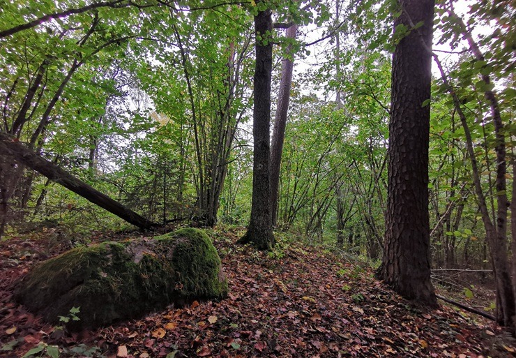 Vietas ar senvēsturi un mistiku Tukuma apkārtnē 380803