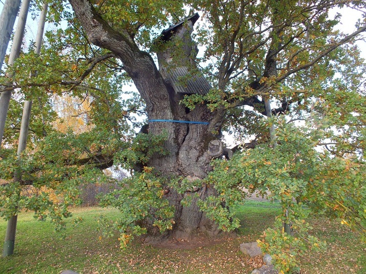 Vietas ar senvēsturi un mistiku Tukuma apkārtnē 380797