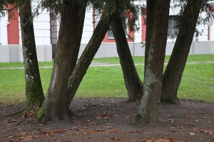 Apceļojam Latviju ar 486 zirgspēku jaudīgo « Xpeng G6 » - Jelgavas pils. Sadarbībā ar Autobrava 18