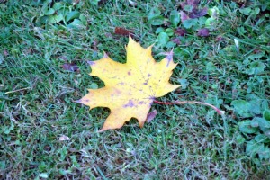 Apceļojam Latviju ar 486 zirgspēku jaudīgo « Xpeng G6 » - Jelgavas pils. Sadarbībā ar Autobrava 30