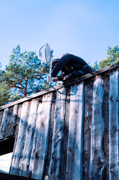 Te nu viņi ir - Rīgas ZOO mazie kapibarēni 380960