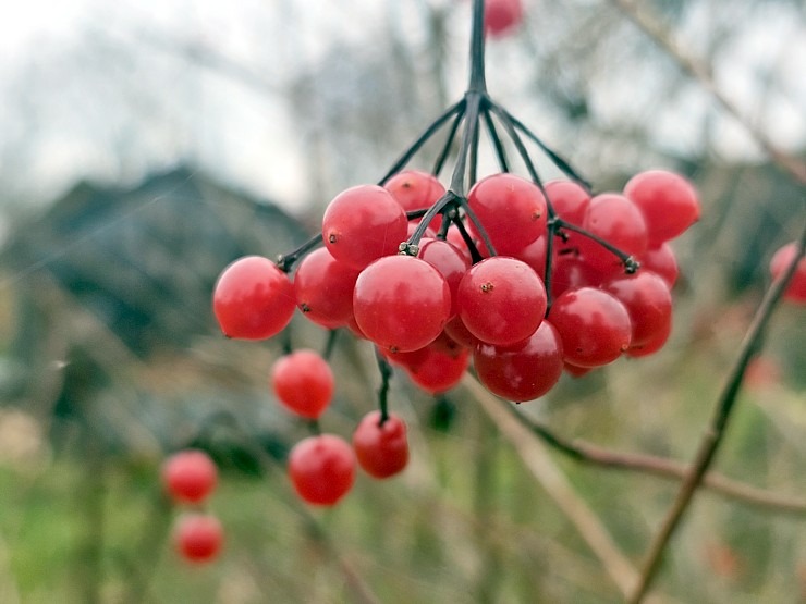 Ar 486 zirgspēku jaudīgo « Xpeng G6 » dodamies uz Latgales laukiem. Sadarbībā ar Autobrava 380991