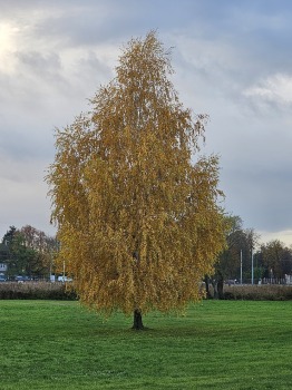 Apceļojam Latviju ar 486 zirgspēku jaudīgo « Xpeng G6 » no auto centra «Autobrava» 10