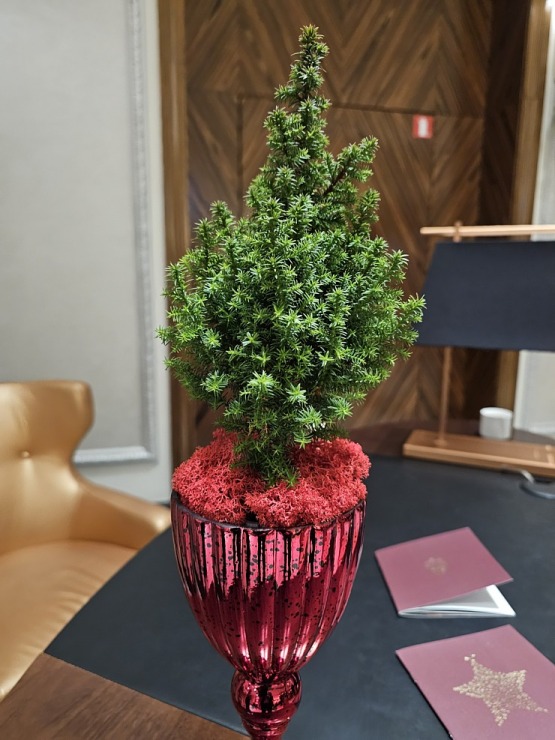 Vecrīgas 5 zvaigžņu viesnīcā «Grand Hotel Kempinski Riga» iedegas Ziemassvētku eglīte 381831