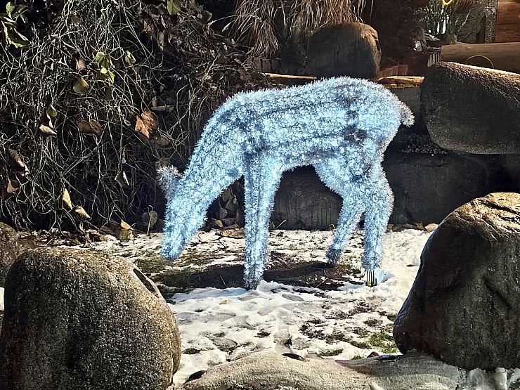 Pārliecināmies, ka «LIDO» Atpūtas centra Ziemassvētku egli tiešā veidā neredz, bet tā tomēr ir! 381958