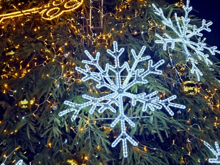 Pārliecināmies, ka «LIDO» Atpūtas centra Ziemassvētku egli tiešā veidā neredz, bet tā tomēr ir! 381966