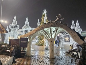 Pārliecināmies, ka «LIDO» Atpūtas centra Ziemassvētku egli tiešā veidā neredz, bet tā tomēr ir! 11