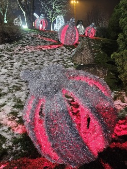 Pārliecināmies, ka «LIDO» Atpūtas centra Ziemassvētku egli tiešā veidā neredz, bet tā tomēr ir! 32