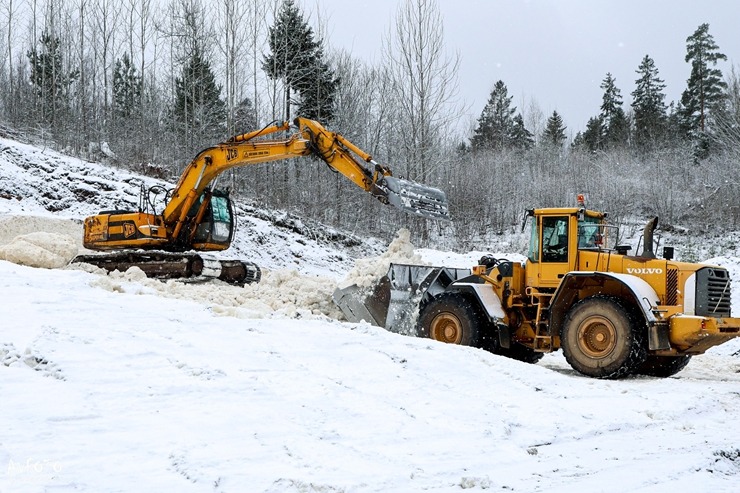 Madona novads gaida ziemas prieku cienītājus - Smeceres sils (Foto: A.Veckalniņš) 382041