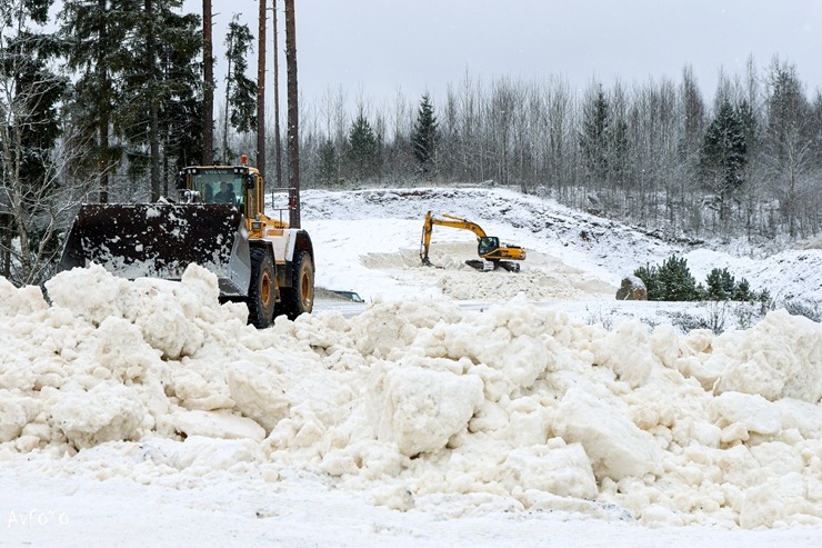 Madona novads gaida ziemas prieku cienītājus - Smeceres sils (Foto: A.Veckalniņš) 382042