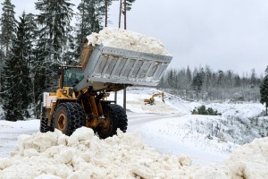 Madona novads gaida ziemas prieku cienītājus - Smeceres sils (Foto: A.Veckalniņš) 14