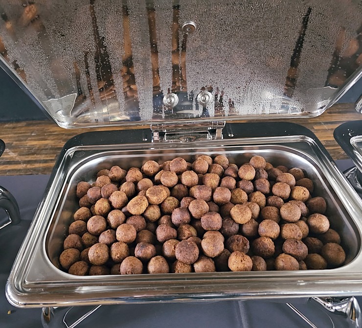 Apvienoto Arābu Emirātu vēstniecība Latvijā rīko valsts 54.gadadienas svinības 382142