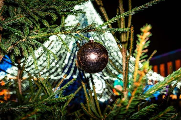 Daugavpils «Sapņu galaktikas» galvenā Ziemassvētku egle ir viena no skaistākajām Latvijā. Foto: Margarita Vigule 382222