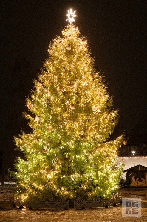 Ogres novadā iemirdzas Ziemassvētku rotājumi un svētku egles 382269