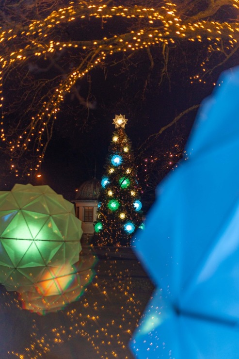 Jūrmala izrotāta un izgaismota Ziemassvētkiem 2025 un gadu mijas pasākumam. Foto: Artis Veigurs 382599