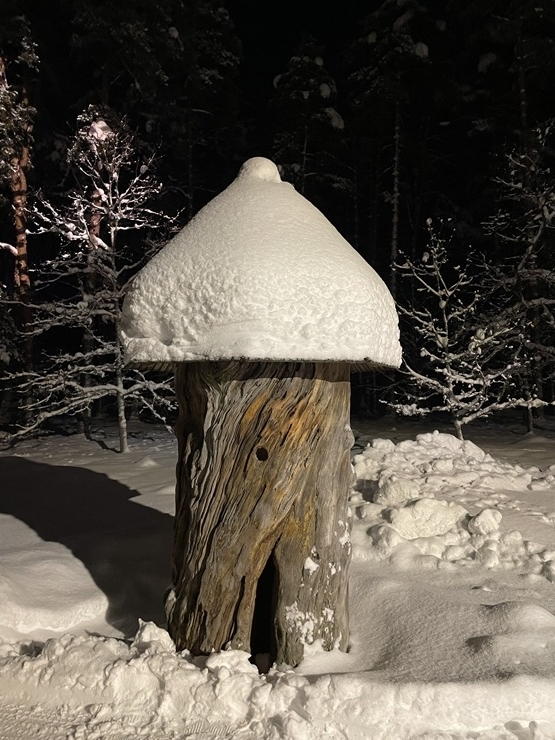 Brīvdabas muzejā no 19. decembra būs Ziemassvētku gaismu taka. Foto: lebm.gov.lv 383208