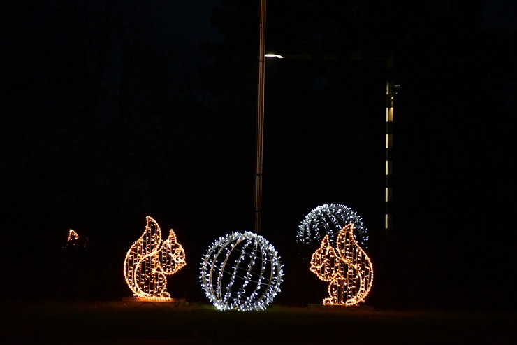 Jēkabpils gatavojas Ziemassvētkiem un Jaunā gada sagaidīšanai. Foto: Jēkabpils novada pašvaldība 383279