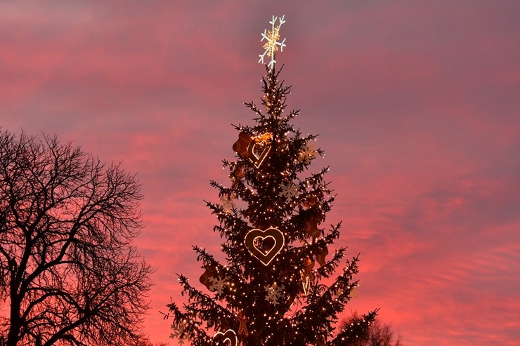 Jēkabpils gatavojas Ziemassvētkiem un Jaunā gada sagaidīšanai. Foto: Jēkabpils novada pašvaldība 383272
