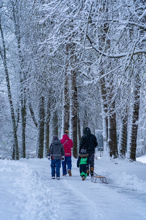 Visit Balvi aicina ciemos izbaudīt ziemas priekus 383985