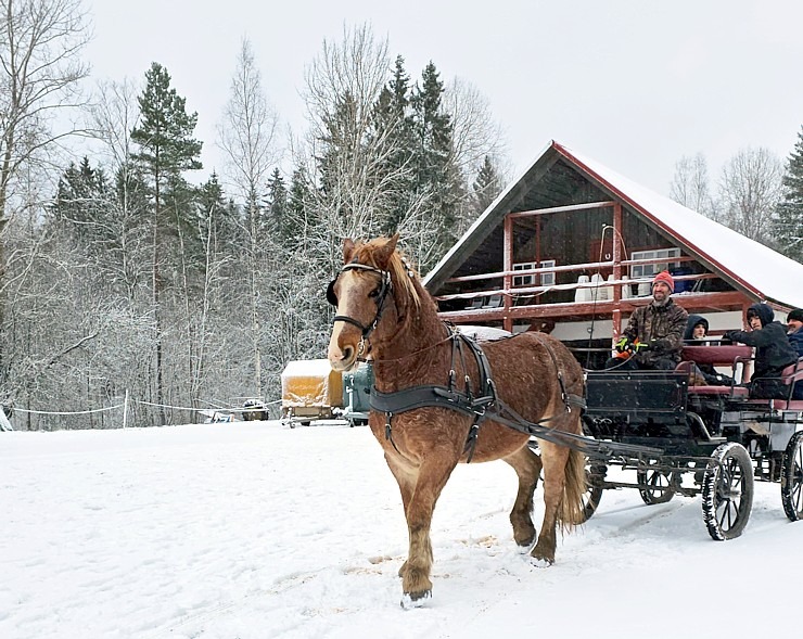 Travelnews.lv topošajā zirga gadā apmeklē zirgu sētu «Klajumi» Krāslavas novadā 384061