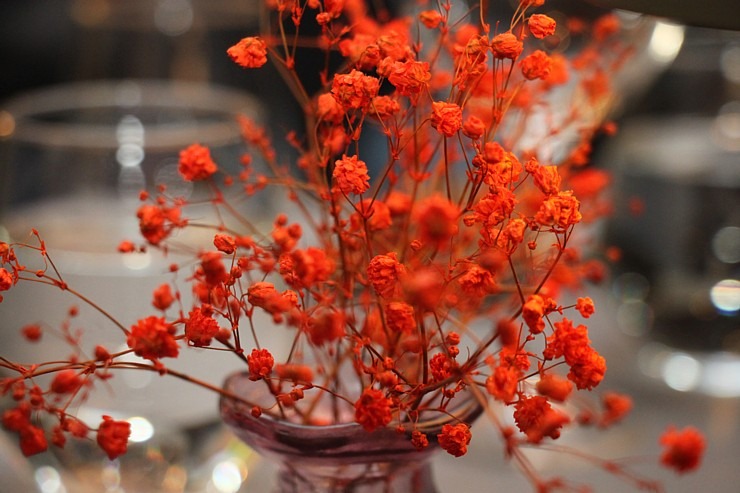 Rīgā izbaudām 5 kārtu vakariņas un prāta spēli «Lamberta Grill Show» restorānā 384562