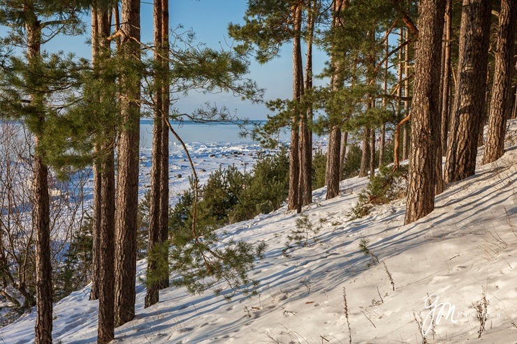 Saulaina ziemas diena Saulkrastos fotogrāfes Gitas Memmēnas skatījumā 384924
