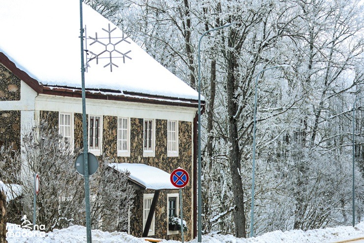 Madonas novada Cesvaine pievilcīga ziemā 385013