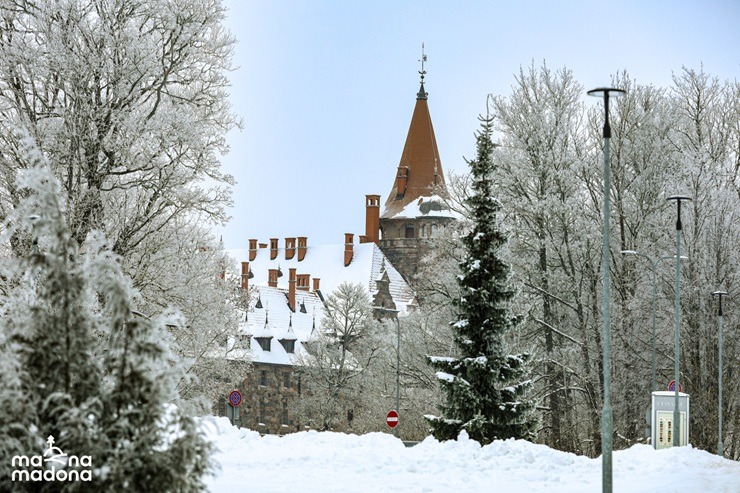 Madonas novada Cesvaine pievilcīga ziemā 385021