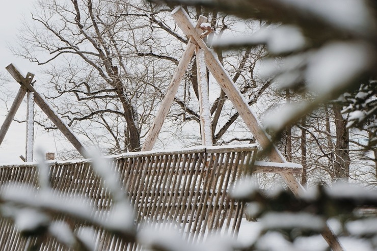 Salaspils novads piedāvā ziemas burvību rīdziniekiem un citiem novada viesiem. Foto: Zigmārs Dimants 386271