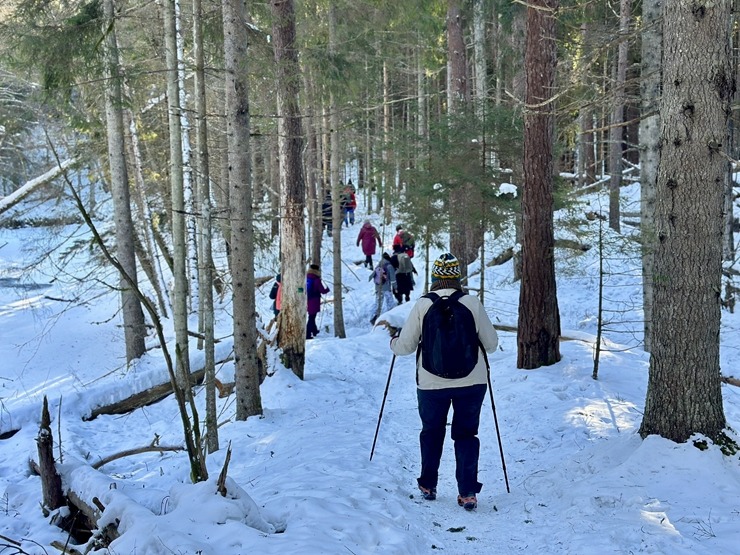 Dažo foto mirkļi no pārgājienu seriāla «izPĒDO Dienvidkurzemi» Rīvas dabas takas posma. Foto: dienvidkurzeme.travel 386598