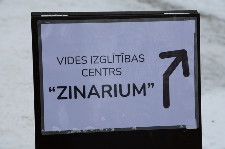 Rīgas Nacionālajā zooloģiskajā dārzā notiek kuprvaļa skeleta ekspozīcijas atklāšana 386633