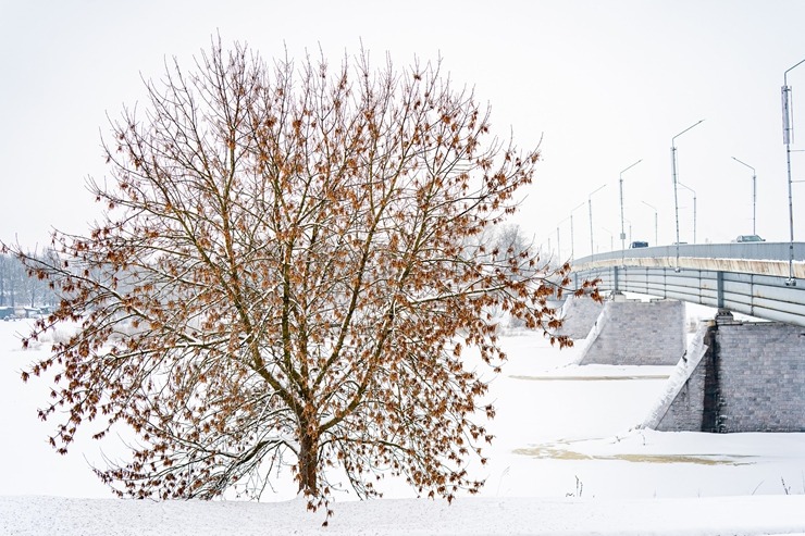 Daugavpils sūta ziemīgus sveicienus no aukstākās pilsētas Latvijā. Foto: Margarita Vigule 386769