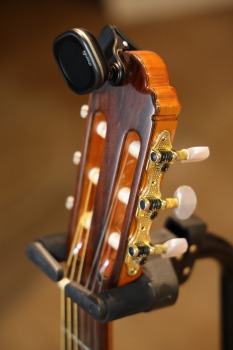50