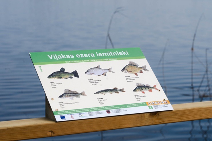 Balvu novada Viļakā atklāta garākā pontoniem peldošā pastaigu laipa Latvijā 389101