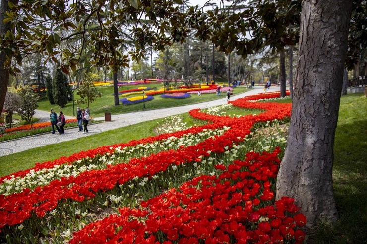 Pavasaris iekrāso Stambulu košās krāsās 389265