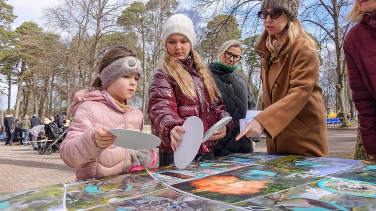 Putnu būrīšu talka Ventspils Bērnu pilsētiņā 389321