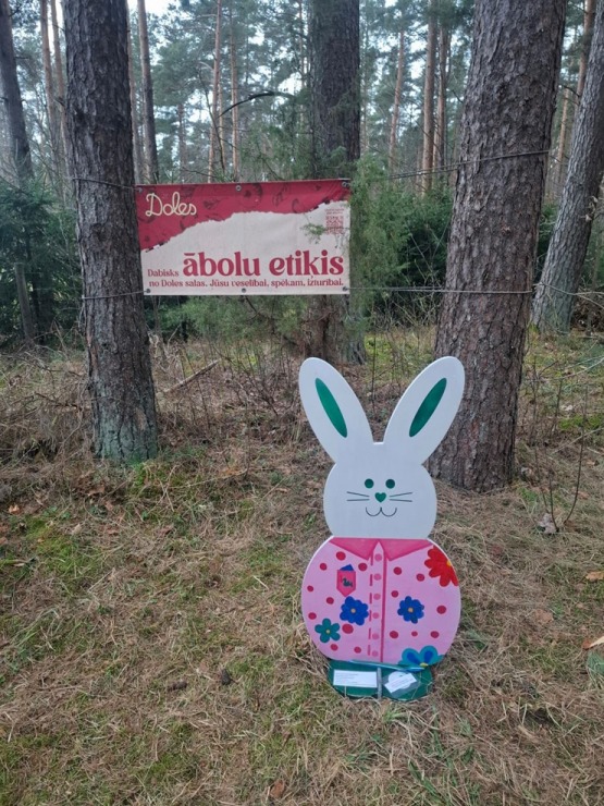 Salaspils novadā zaķu meklēšana jau kļuvusi par tradīciju 389467