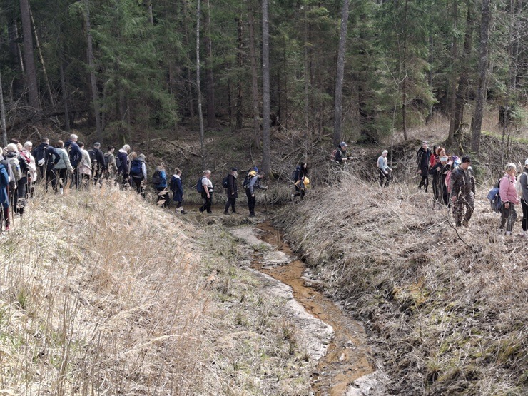 «Tebras pumpurs» iedvesmo laivotājus un pēdotājus 390239