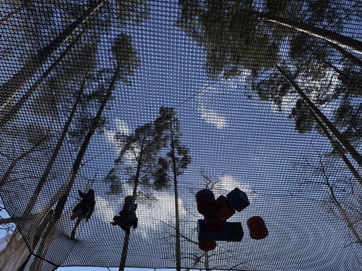 Dobeles novads: «Tērvetes tīklu parks» un «Tarzāns» atsāk darbu 391373