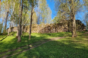 26